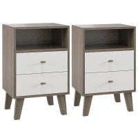 Set di 2 Comodini Moderni per Camera da Letto con 2 Cassetti e Vano Aperto, 40x34x64cm, Grigio