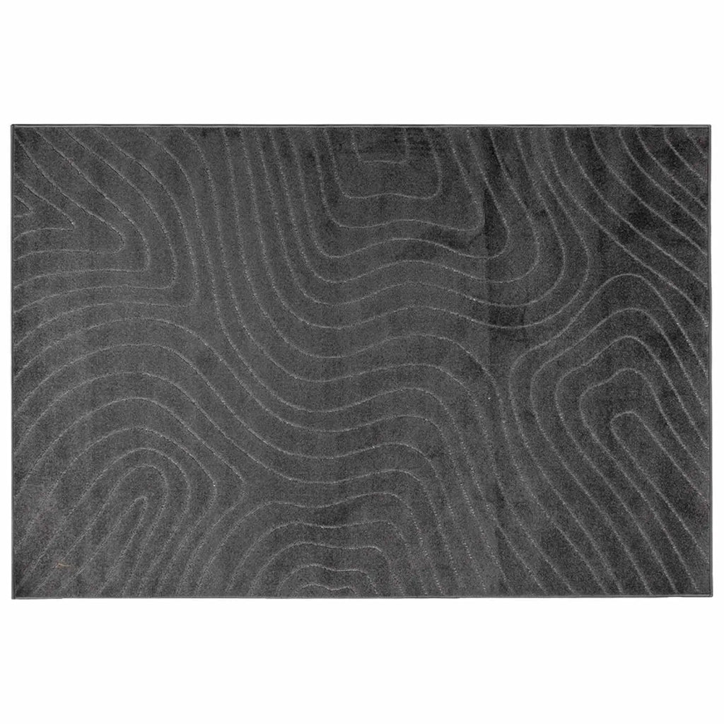 Tappeti per area PALMERAS Antracite 200 x 140 cm Poliestere