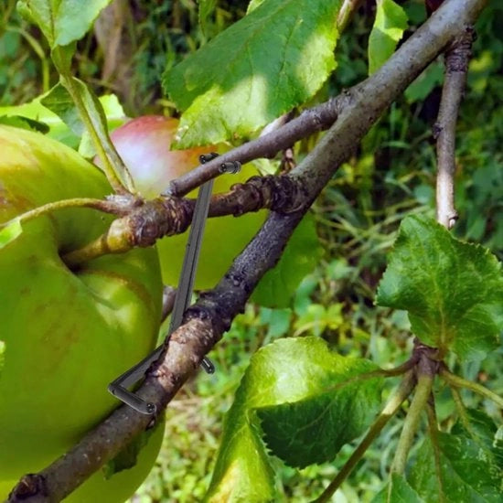 Supporto per piante in plastica per impianti di frutta e verdura con alta durezza.