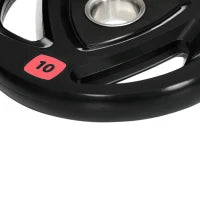 Set di 2 Dischi Pesi da 10kg in Acciaio con Rivestimento in Gomma per Bilanciere