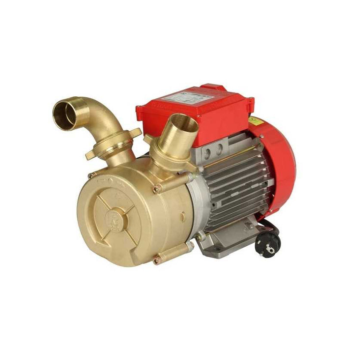 Elettropompa Travaso mm 50 Rover