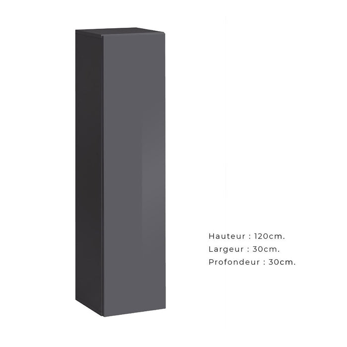 Set di mobili da soggiorno SWITCH XXVI design, colore grigio e rovere.