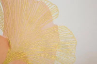 Tela Stampata con Cornice cm 80X3,5X80