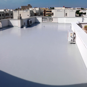 Guaina liquida grigia resingum 2000 impermeabilizzazione tetti terrazze balconi *** formato 5 kg, confezione 1