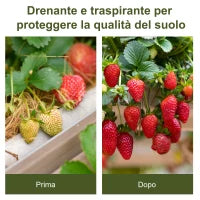 Telo Pacciamatura 50x2m 100g/m² Telo Anti Erbacce Telo Nero per Orto, Serra, Giardino Drenante e Traspirante con Quadrettatura