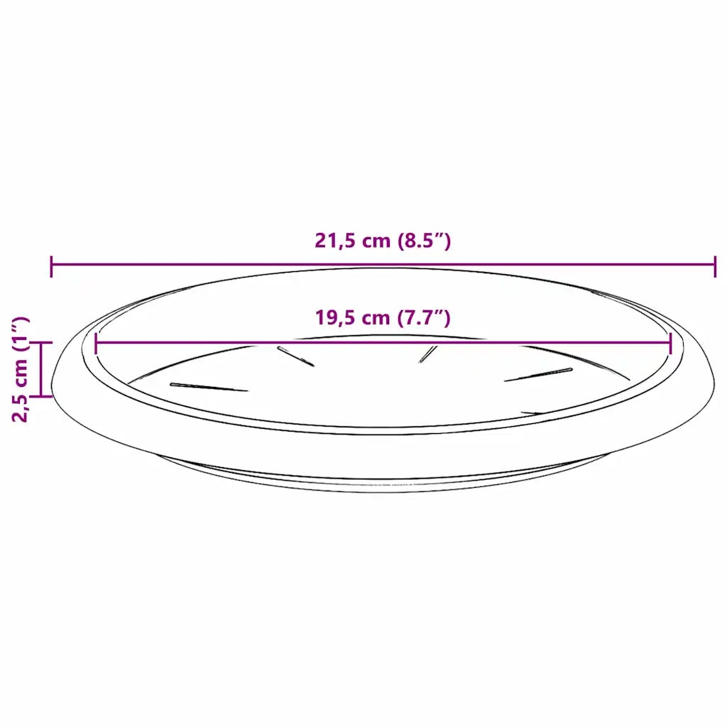 Vassoio Rotondo per Fiori 24 pcs Nero Ø 21,5 x 2,5 cm Plastica