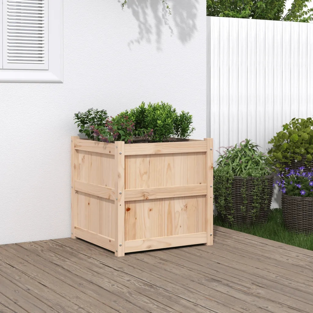 Fioriera da Giardino-Vaso da Esterno 60x60x60 cm in Legno Massello Di Pino
