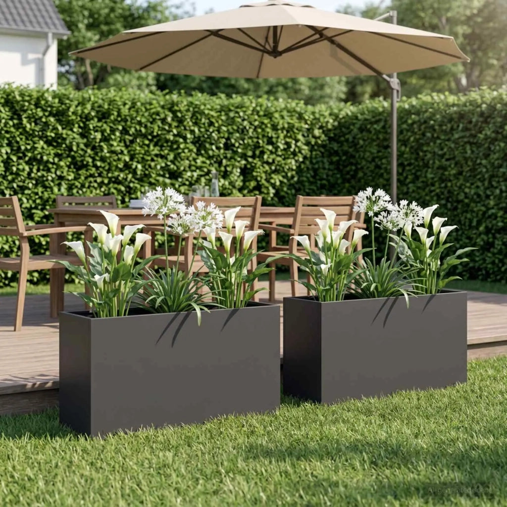 Vaso da giardino 2 pz Nero 100 x 30 x 50 cm 8005625