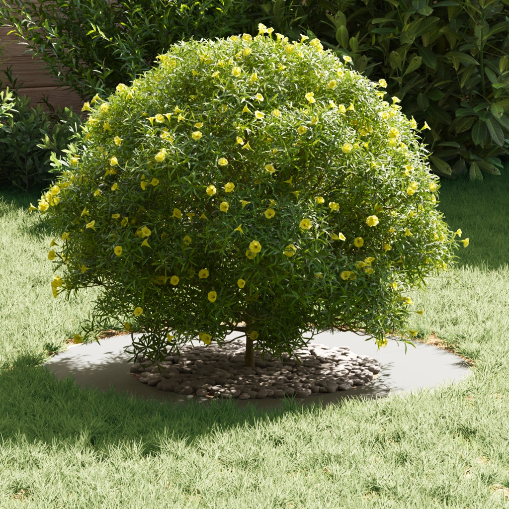 Vaso in Ceramica Bianco Ceramica Grande Vaso in Ceramica