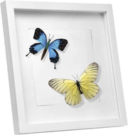 Cornice 3D per Foto 30x40cm, Portafoto da Parete/Tavolo, Cornice Profonda in Legno per Oggetti Fino a 1,5cm Passepartout Incluso, Sfondo Decorativo della Parete, Bianco