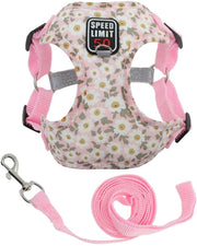 Attrezzo per cani - Cintura per piccoli/grandi cani - Strisce riflettenti - Kit - Materiale di alta qualità poliestere/cotone - Sistema di chiusura sicuro