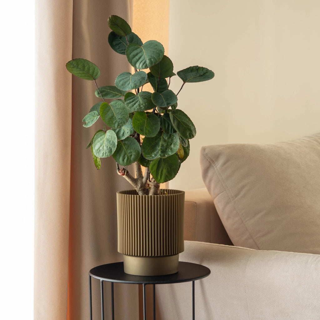Vaso da fiori KADAX 13 cm, copripianta, vaso da fiori in plastica color oro