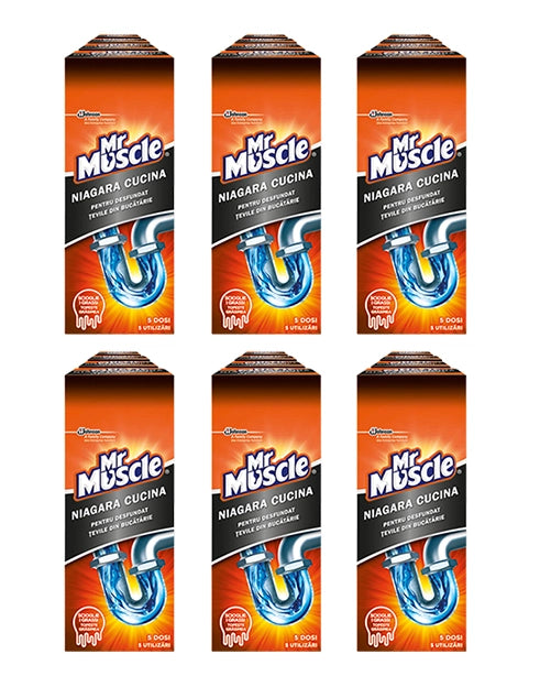 SET 24 MISTER MUSCOLO DISGORGANTE NIAGARA 250 ML
