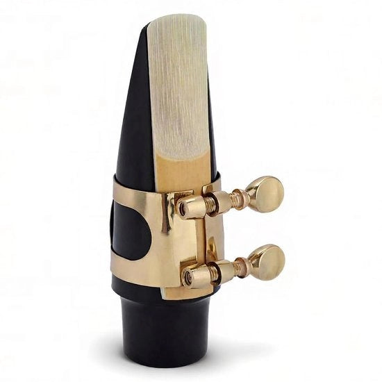 Set di accessori per saxofono - Mondstuk in ABS leggero - Accessorio per saxofono professionale - Accessorio per saxofono con chiusura metallica - Anelli di gomma - Alta qualità del suono - Mondstuk per saxofono