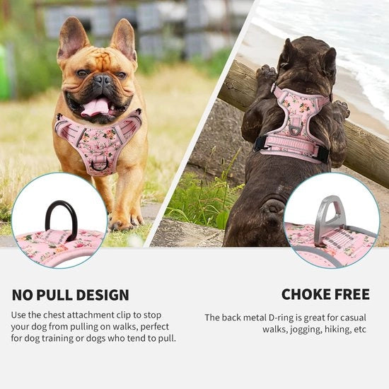 Harnas per Cani con Disegno di Fiori, Vestito per Cani senza Tirare per Piccoli, Medi e Grandi Cani con Maniglia e Manubrio per Cani con Vestito Riflettente per Allenamento all'Aperto