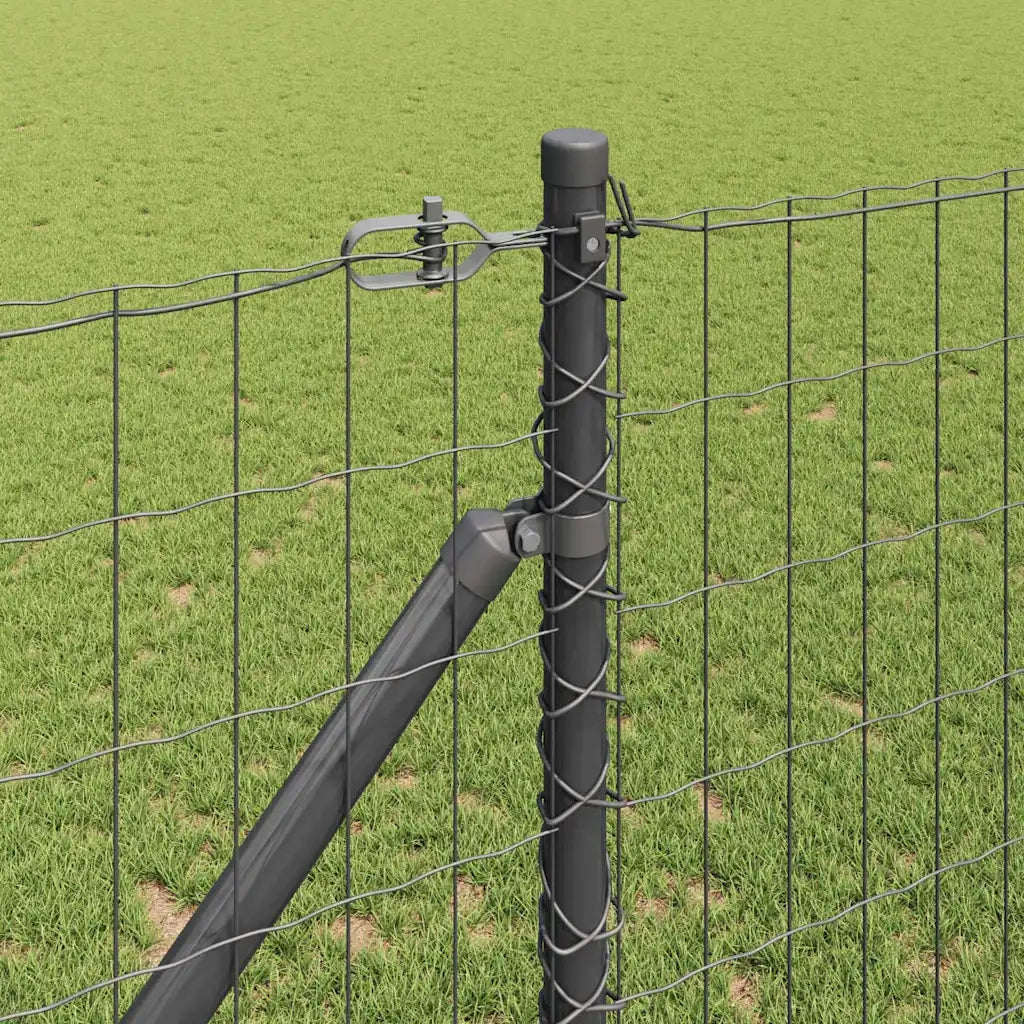 Recinzione con Posto Grigio 1,2 x 10 m Acciaio e PVC
