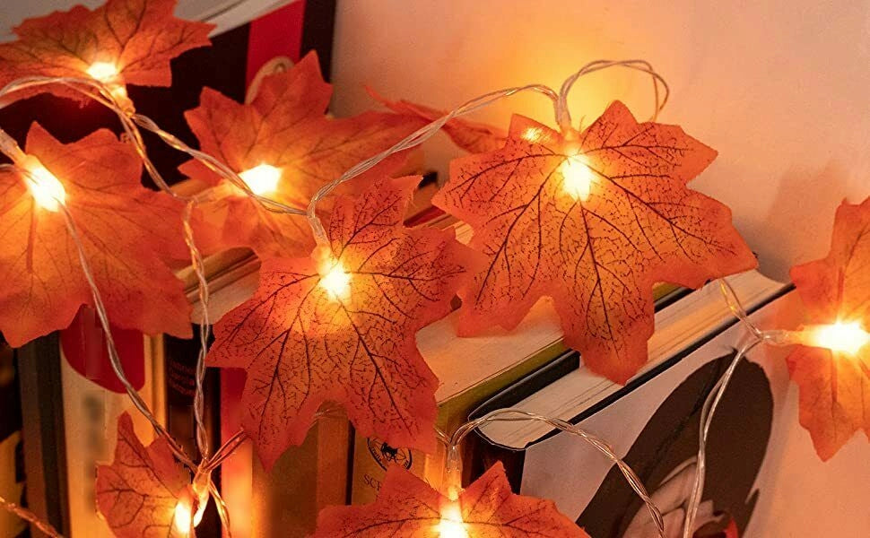 CATENA GHIRLANDA LUMINOSA 2 METRI 10 LED HALLOWEEN A BATTERIA AUTUNNO LUCI