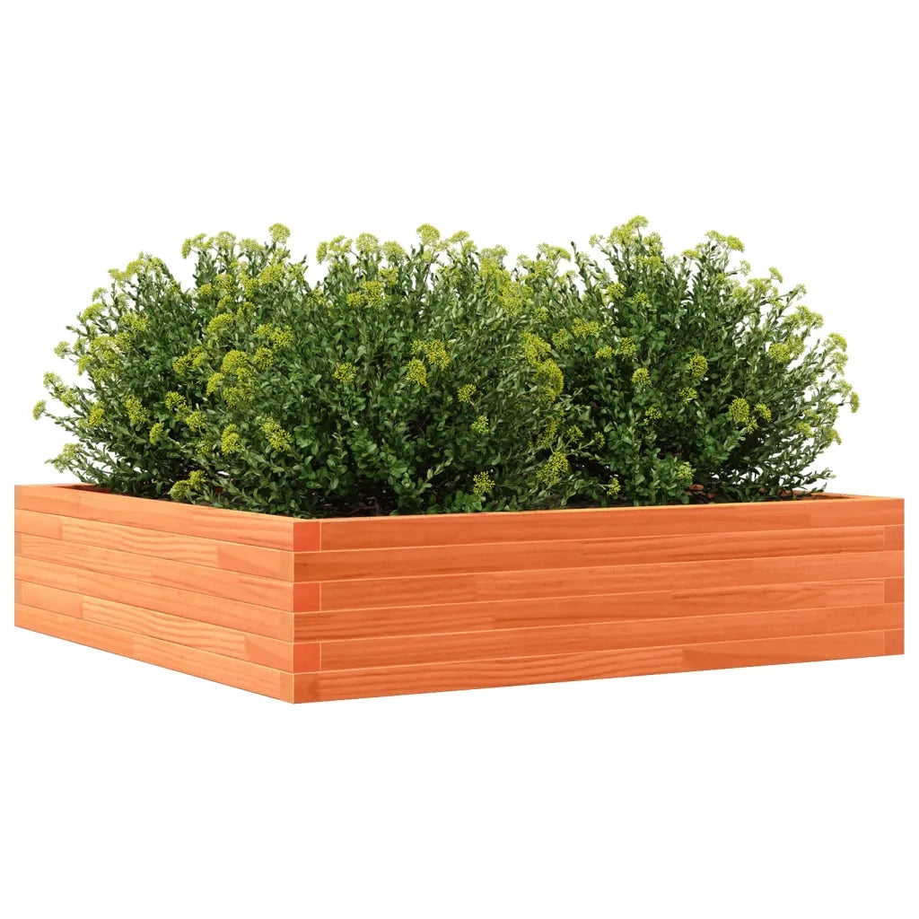Fioriera Giardino Marrone Cera 100x100x23 Legno Massello Pino 847210