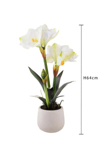 Amaryllis Artificiale con Vaso Altezza 64 cm Bianco