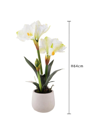 Amaryllis Artificiale con Vaso Altezza 64 cm Bianco