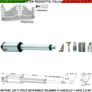 Motoriduttore Elettromeccanico per Cancello Anta Battente da 2 Metri Stelo Retrattile Reversibile Corsa 300 mm 230 V Spinta 250 Kg Ricambio Universale Securvera Completo di Staffe e Bulloni