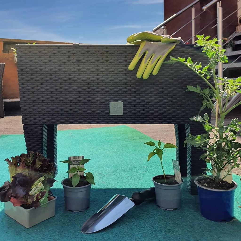 2 letti rialzati con sistema di irrigazione, 60 x 25 x 46 cm, 30 litri, effetto rattan