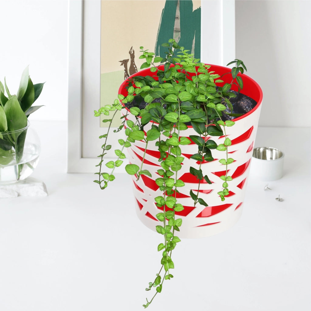KADAX - Inserto in plastica per vaso di fiori e piante, 17 cm, rosso