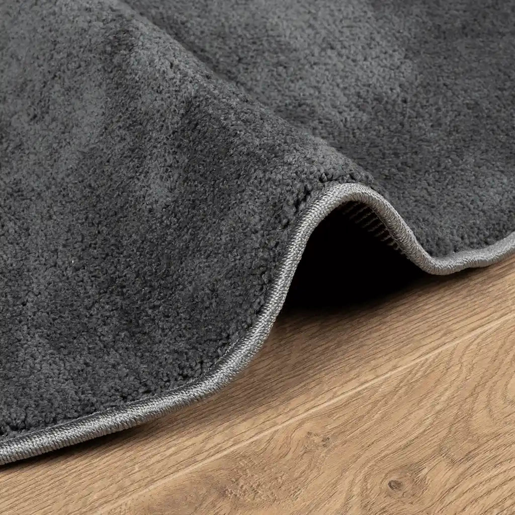 Tappeto OVIEDO a Pelo Corto Antracite Ø 200 cm 375481