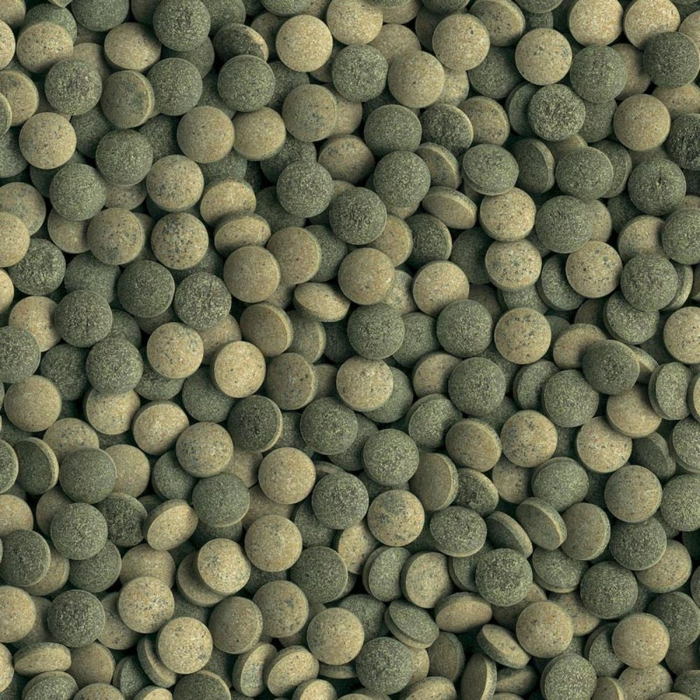 Tetra Pleco Tablets 120 Compresse ad Alta Percentuale di Spirulina - Indicato per Pesci da Fondo Vegetariani