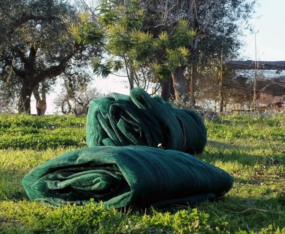 Rete antispina olive occhiellata Taglia: 5 X 10