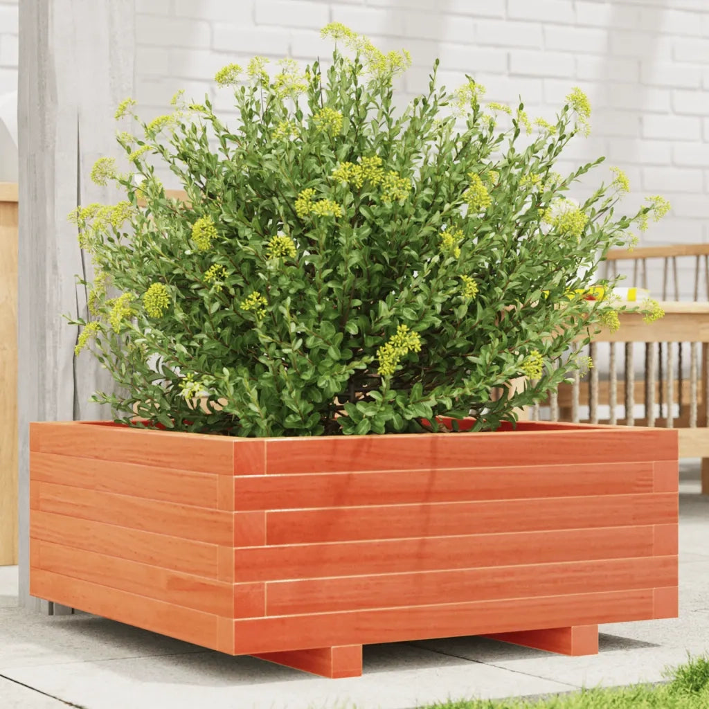 Fioriera Giardino Marrone Cera 60x60x26,5cm Legno Massello Pino 847300