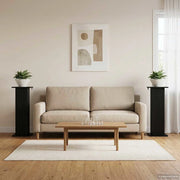 Supporto per piante 2 pz Nero 30,5 x 30 x 80,5 cm 899765