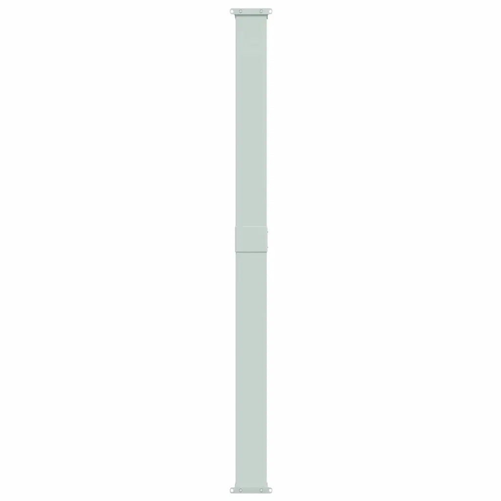 Tenda da Sole Laterale Retrattile per Patio 200x600 cm Marrone 317975