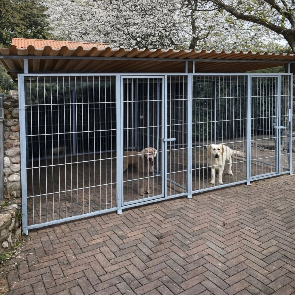 2 box per cani da esterno coperto con zincatura a caldo ciascuno da 300x200x altezza 180 cm