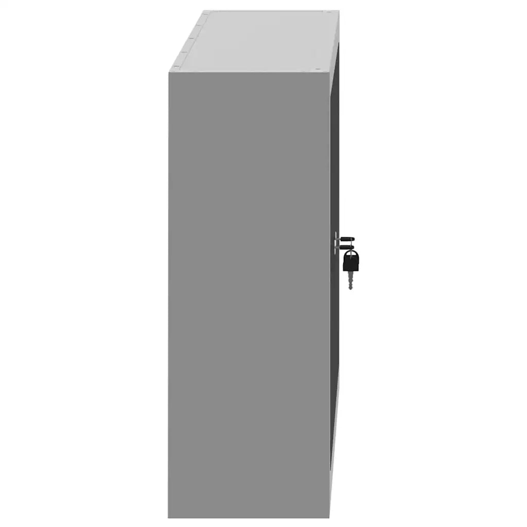Mobile per attrezzi con blocco Nero e Grigio 100 x 20 x 55 cm CFW9664674