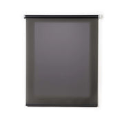 Tenda a Rullo Filtrante per finestre e porte Grigio 180x250 cm