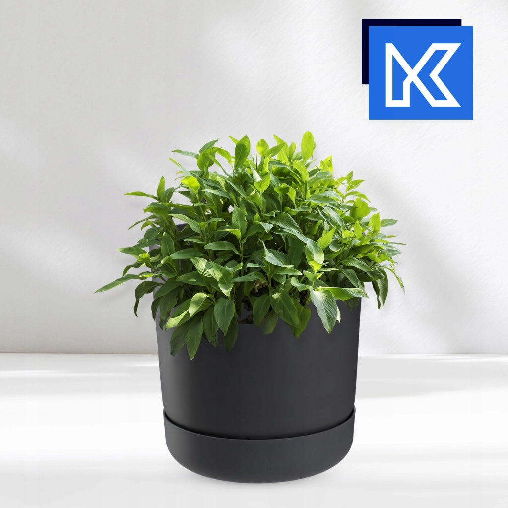 Vaso da fiori KADAX con supporto, coperchio, ciotola rotonda, 25 cm, antracite
