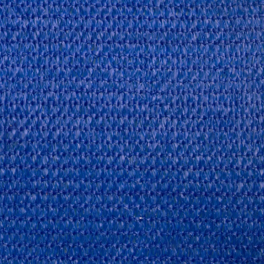 Vela Parasole 160 g/mÂ² Rettangolare Blu 4x6 m in HDPE