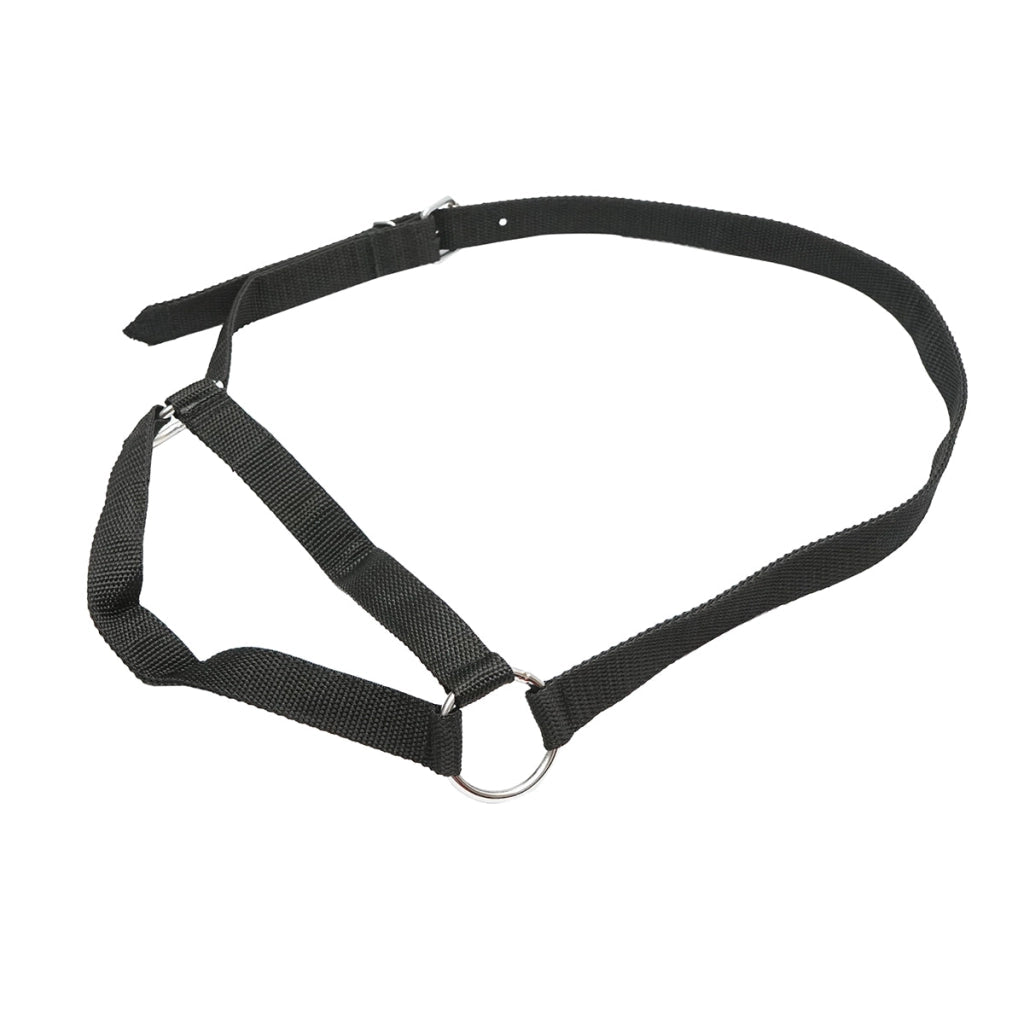 Capestro per mucche con catena in nylon, 25 mm