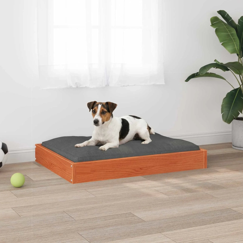 Letto per Cani Marrone cerato 72 x 54 x 9 cm 867643