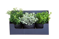 Set 2 Mini Piante Aromatiche Artificiali 6 Pezzi in Vaso assortite Altezza 20 cm Verde