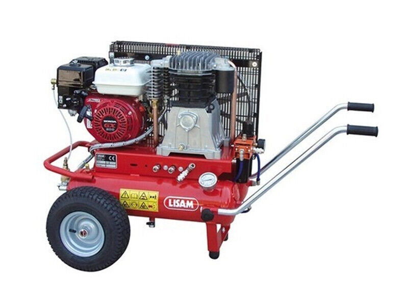 Kit Raccolta Olive Lisam Professional LM201 3 abbacchiatori e compressore Honda GX 200