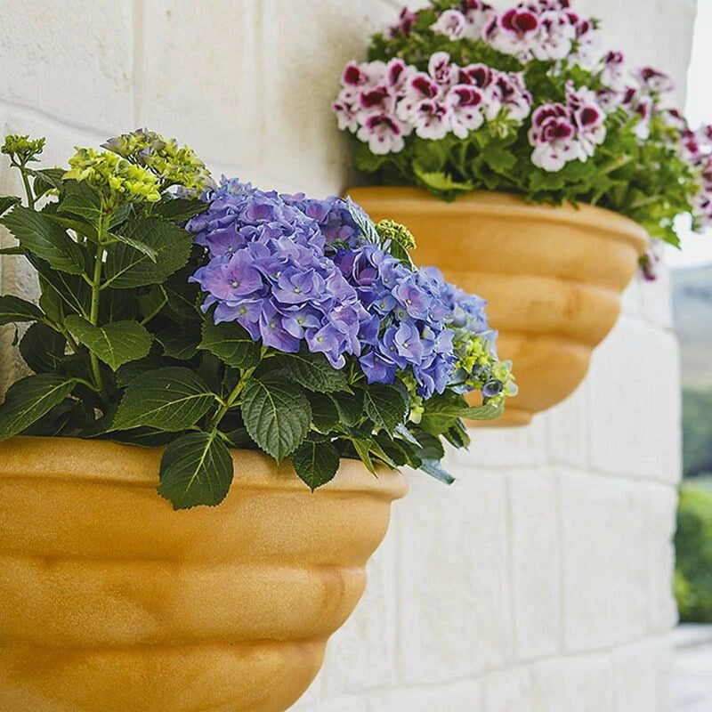 Vaso da parete decorativo classico tradizionale 50x27 H25 in polimero resistente terracotta per piante per giardini e terrazze - Made in Italy