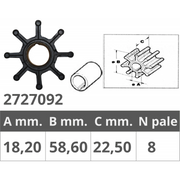 GIRANTE SELVA R.O.8095060