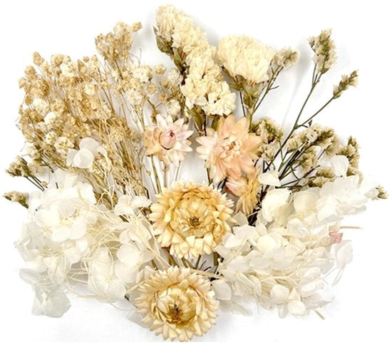 Droghedroci di fiori, fiori secchi per la fai da te stesso, fiori secchi piccoli, per decorazione, lavorazione con resina epoxy, artigianato, scrapbooking, creazione di cartoline (pacchetto bianco)