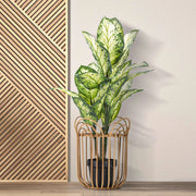 Damonono, Vaso Portavaso Finiture in Rattan, Marrone Rovere