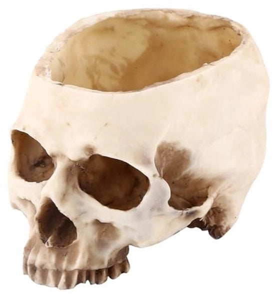 Vaso per piante Halloween - Decorazione - Materiale ecosostenibile - Resina artificiale - Resistente e duraturo - Capacità di contenimento 20L