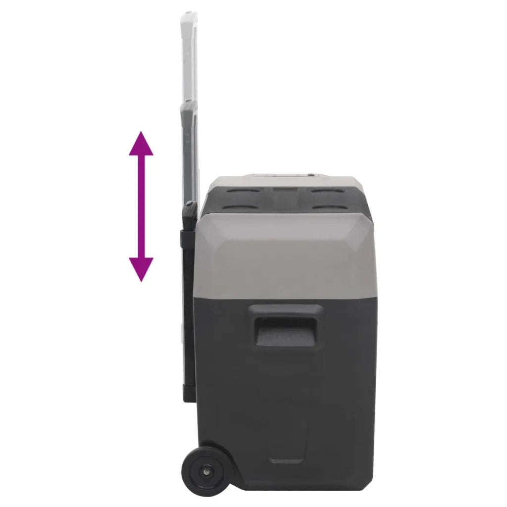 Borsa Frigo con Ruote Adattatore Nera Grigia 40 L Polipropilene CFW9714882