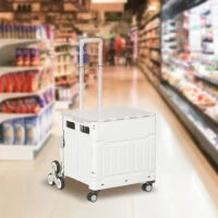 Carrello per la Spesa Pieghevole con Manico Telescopico Regolabile e Coperchio, Capacità max. 80 kg, Bianco