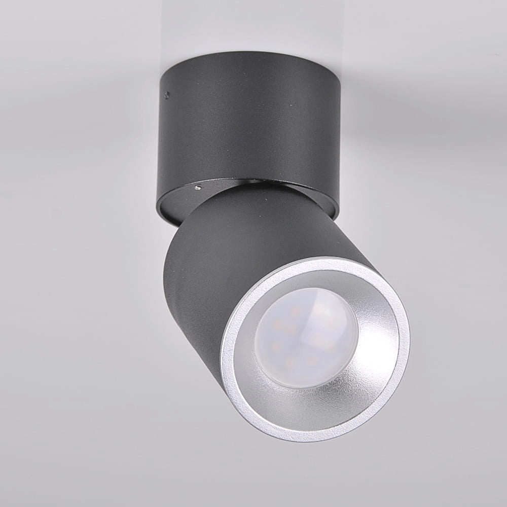 Faretto da soffitto orientabile GU10 nero/argento Astra Polux